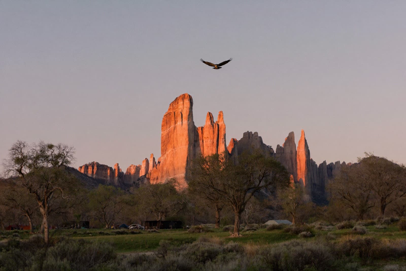 Pinnacles National Park
